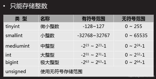 MySQL數(shù)據(jù)庫服務 從構建到管理的全面指南
